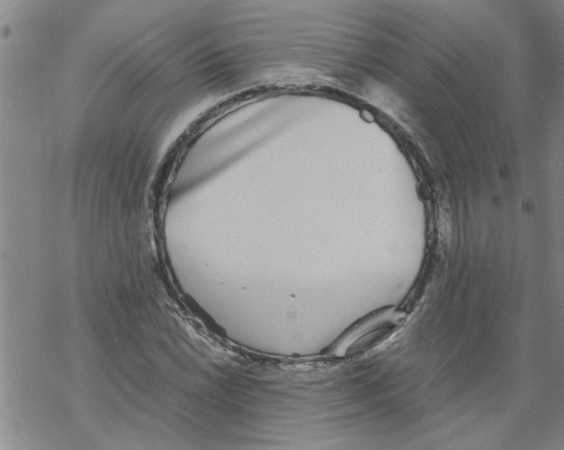 X0000067911022200605111937