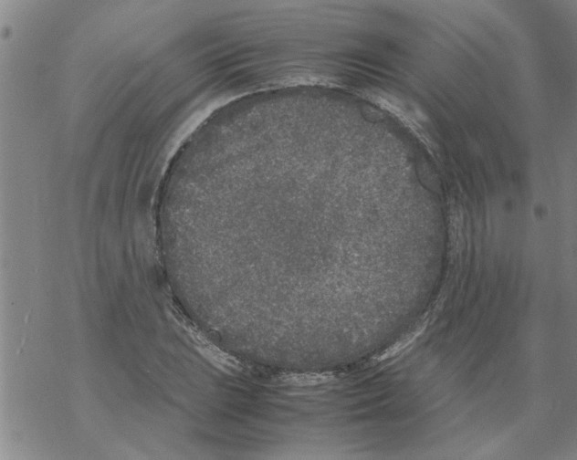 X0000067911023200605111937