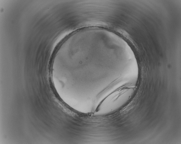 X0000067911024200605111937