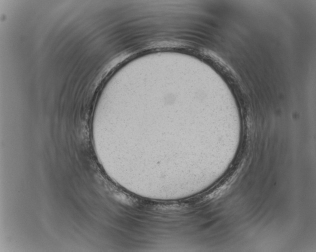 X0000067911025200605111937