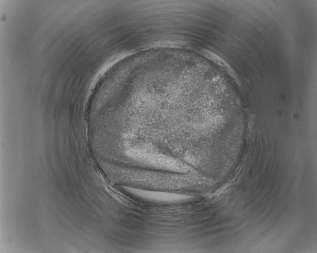 X0000067911027200605111937