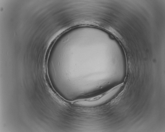 X0000067911028200605111937