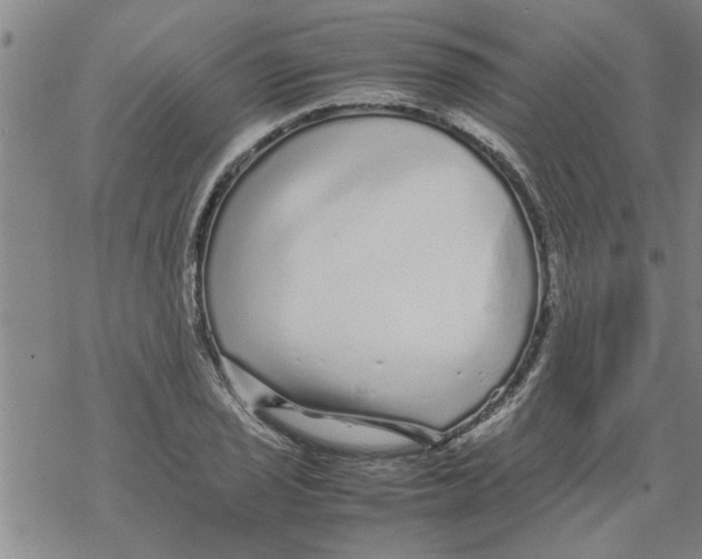 X0000067911029200605111937