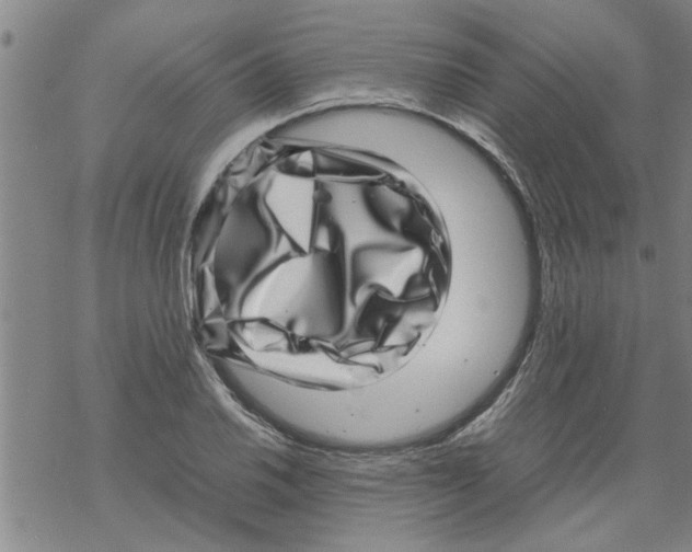 X0000067911030200605111937