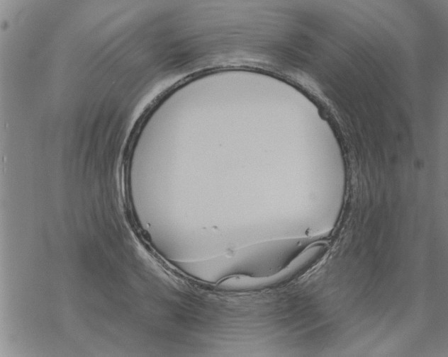 X0000067911032200605111937