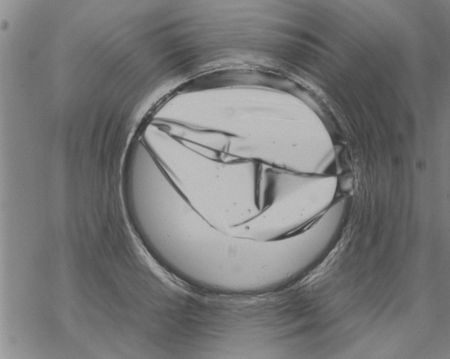 X0000067911034200605111937