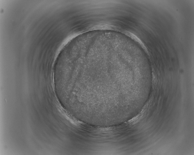 X0000067911035200605111937