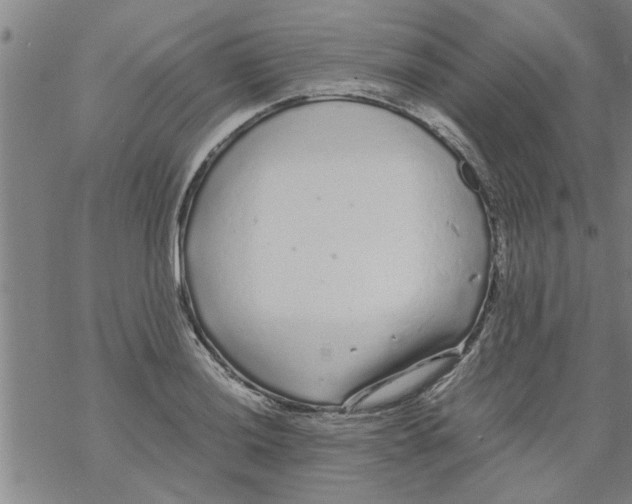 X0000067911036200605111937