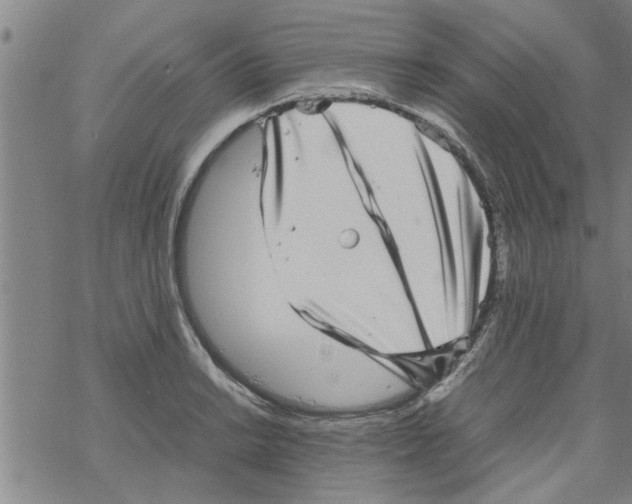 X0000067911038200605111937