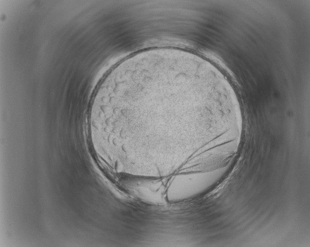 X0000067911040200605111937