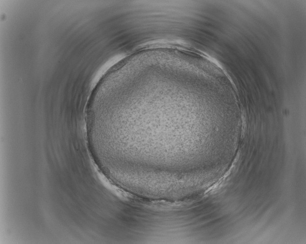 X0000067911042200605111937