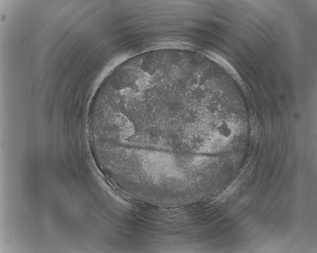 X0000067911043200605111938