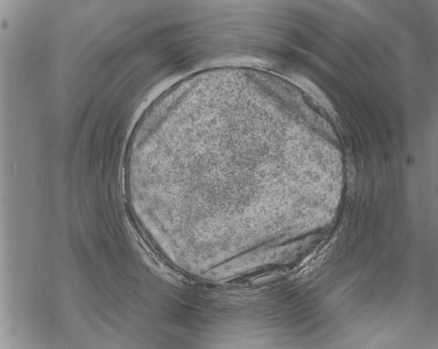 X0000067911044200605111938