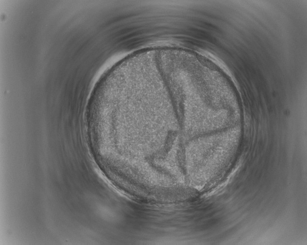 X0000067911045200605111938