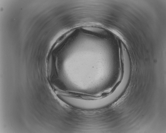 X0000067911046200605111938