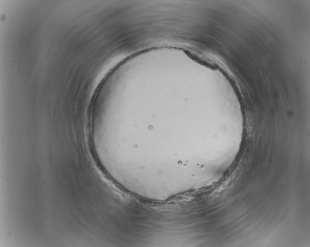 X0000067911048200605111938