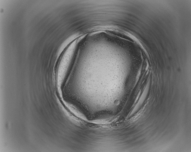 X0000067911050200605111938