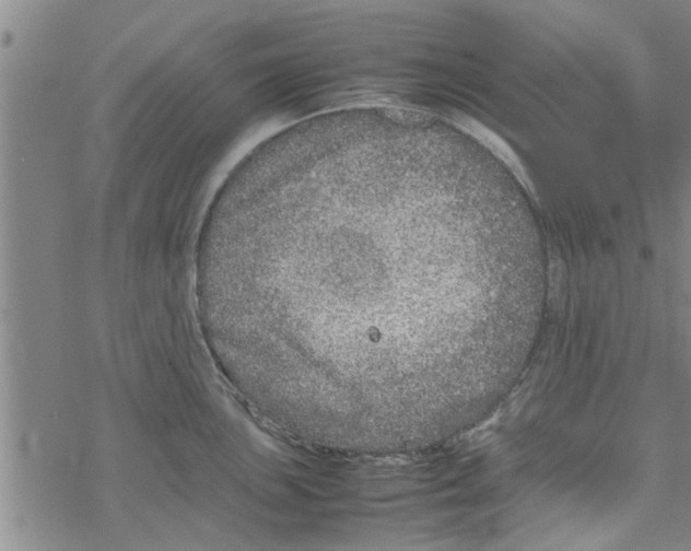 X0000067911051200605111938