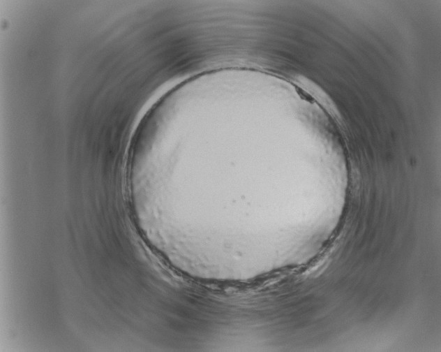 X0000067911052200605111938