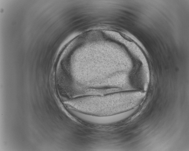 X0000067911053200605111938