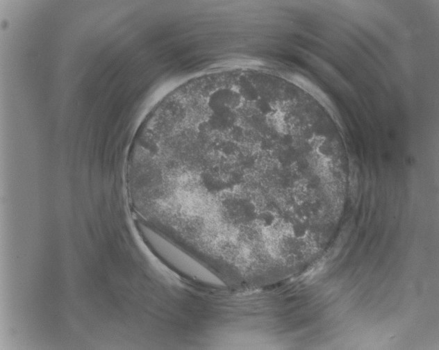 X0000067911055200605111938