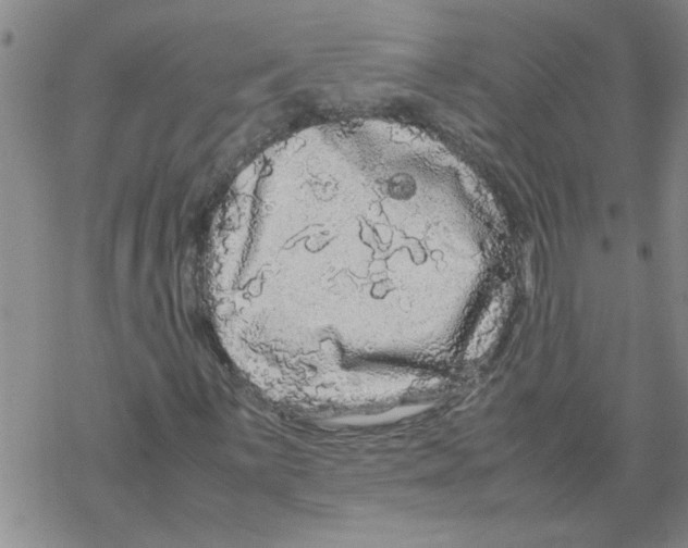 X0000067911059200605111937