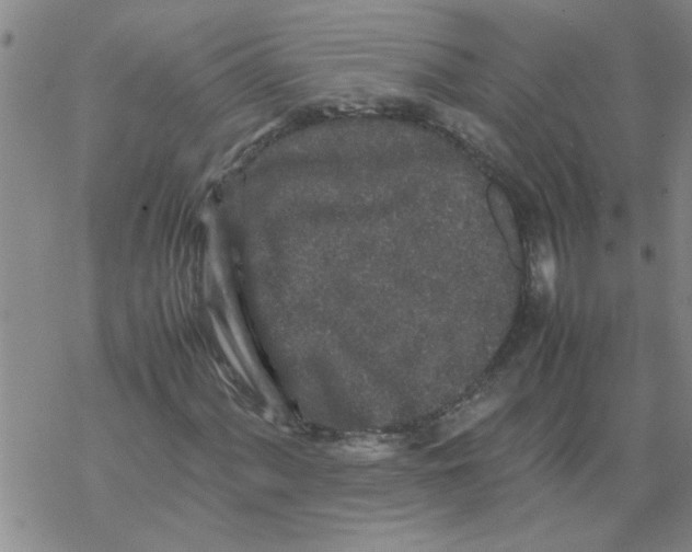 X0000067911060200605111937