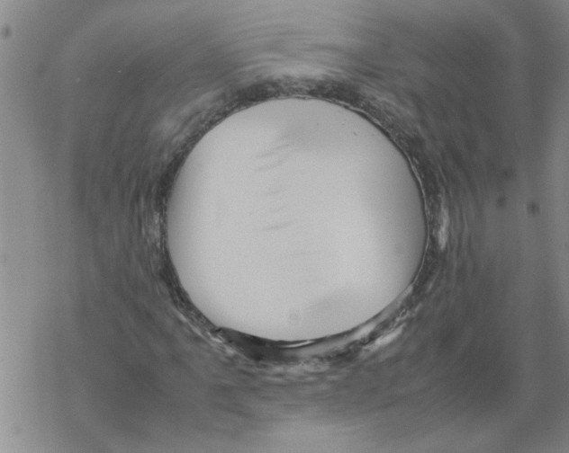 X0000067911061200605111937