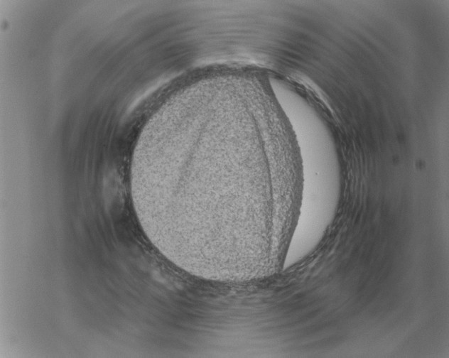 X0000067911064200605111937