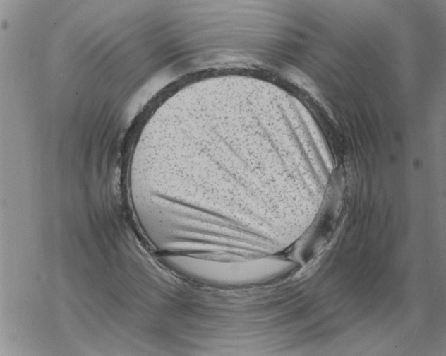 X0000067911066200605111937