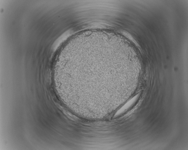 X0000067911067200605111937