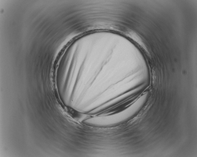 X0000067911068200605111937