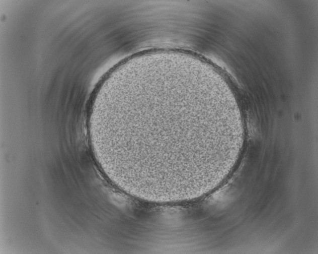 X0000067911070200605111937