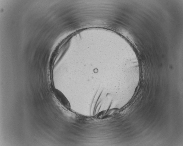 X0000067911072200605111937