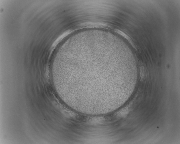 X0000067911074200605111937