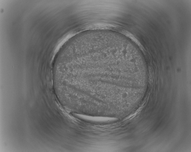 X0000067911075200605111937