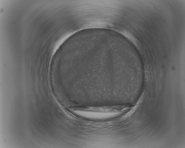 X0000067911077200605111937