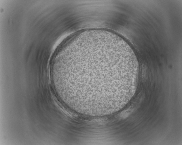 X0000067911078200605111937