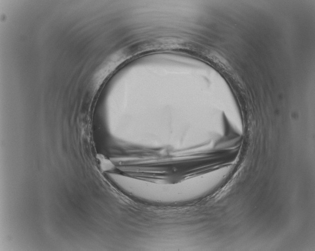 X0000067911081200605111937