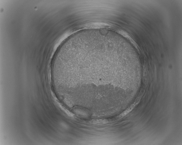 X0000067911083200605111937