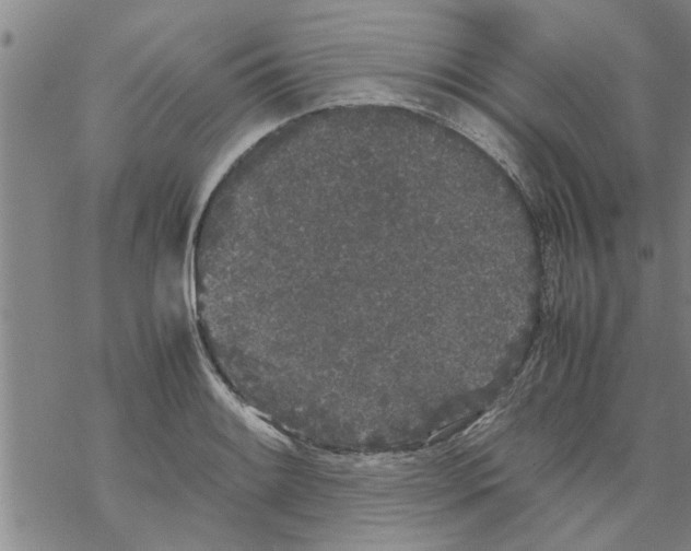 X0000067911084200605111937