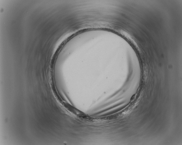 X0000067911085200605111936