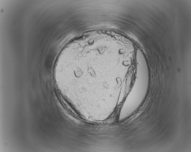 X0000067911087200605111936