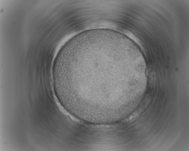 X0000067911088200605111936