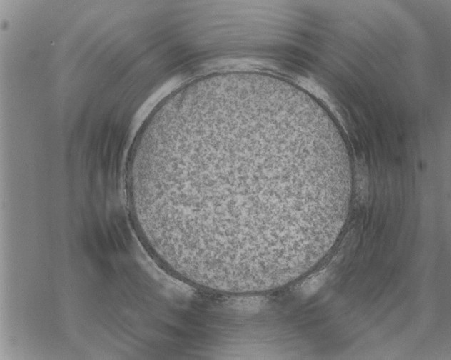 X0000067911090200605111936