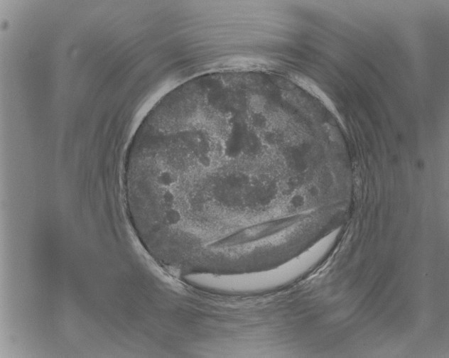 X0000067911091200605111936