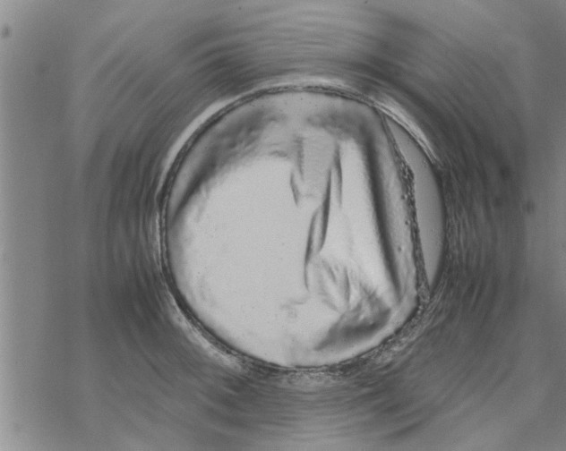 X0000067911092200605111936