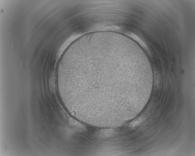 X0000067911094200605111936