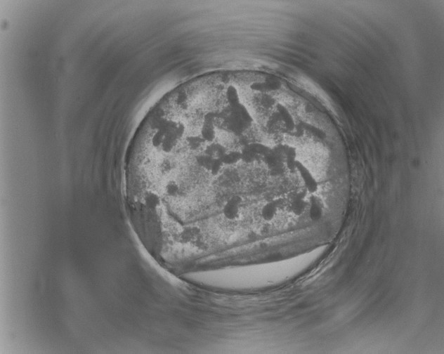 X0000067911095200605111936