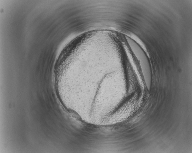 X0000067911096200605111936